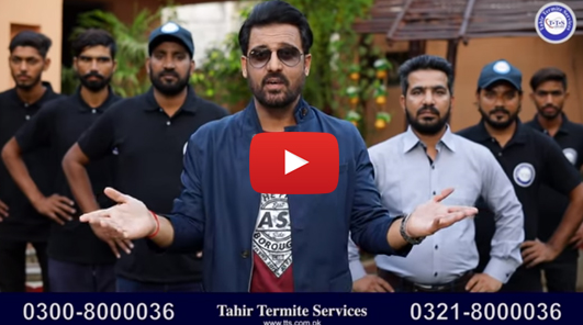 Tahir Termite Services company video thumbnail